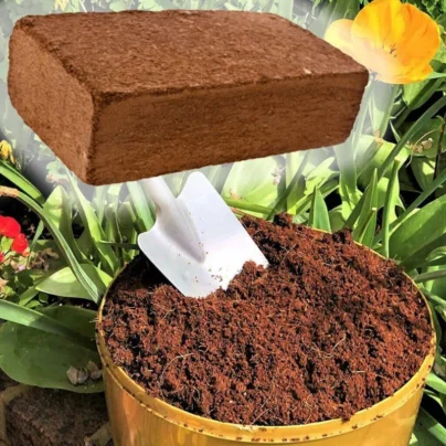 ✨ Premium Organic Coconut Coir Bricks